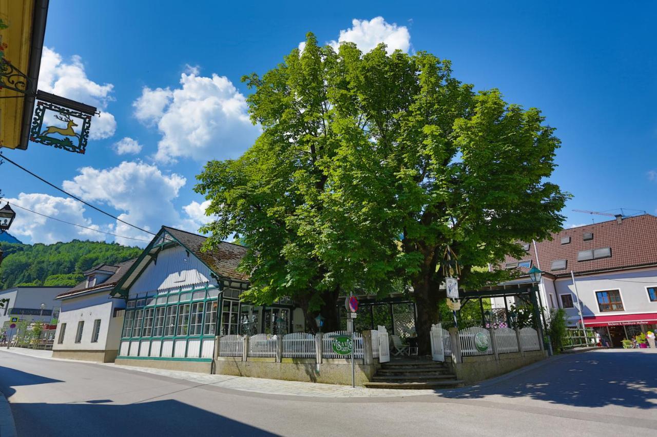 Apartment Welser Ybbsitz エクステリア 写真