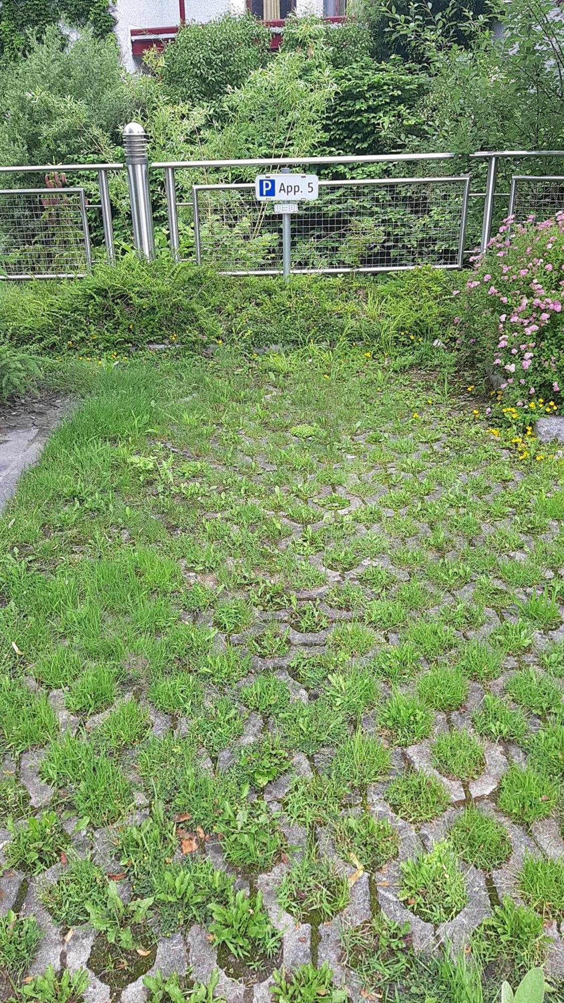Apartment Welser Ybbsitz エクステリア 写真