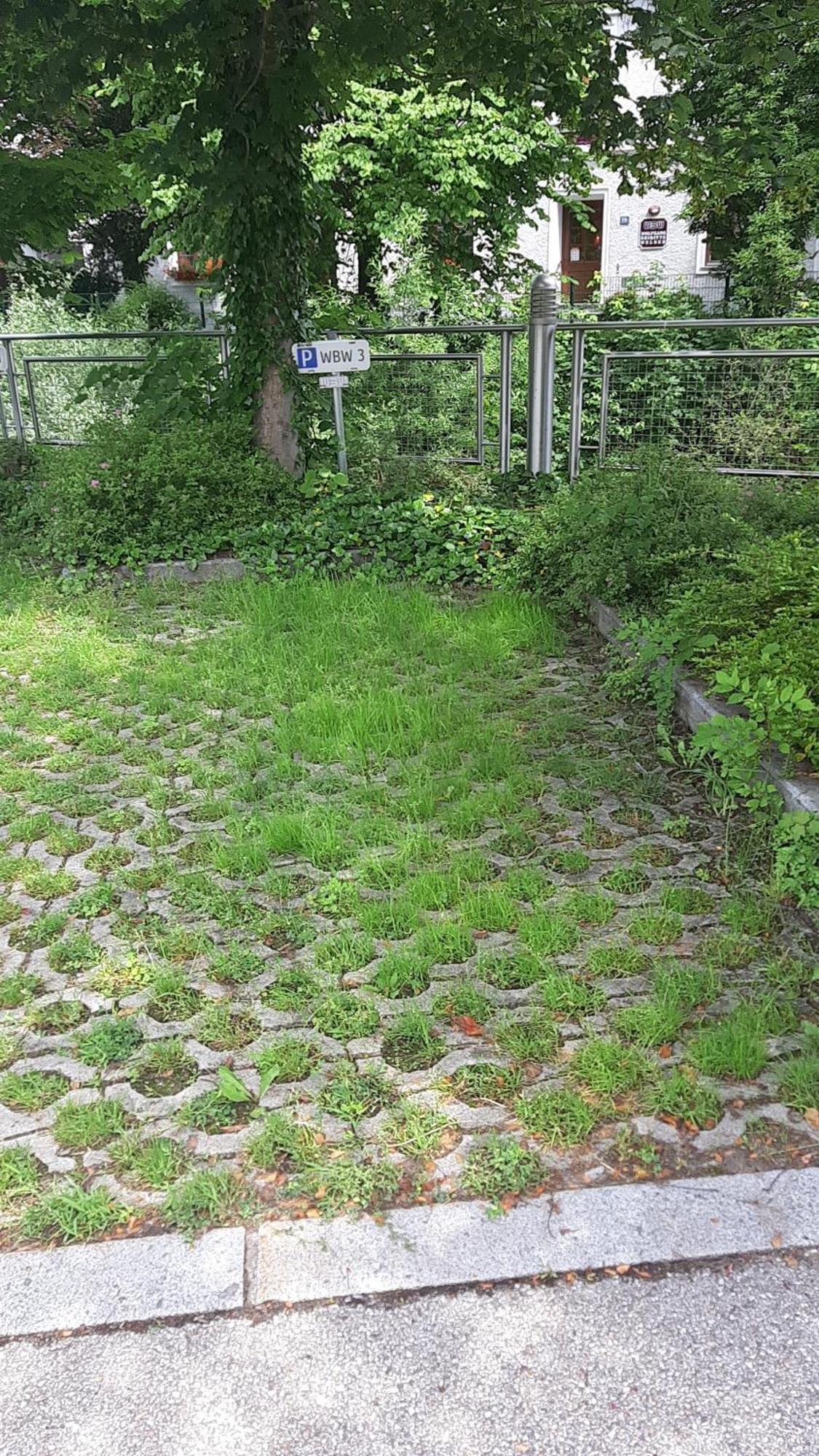 Apartment Welser Ybbsitz エクステリア 写真